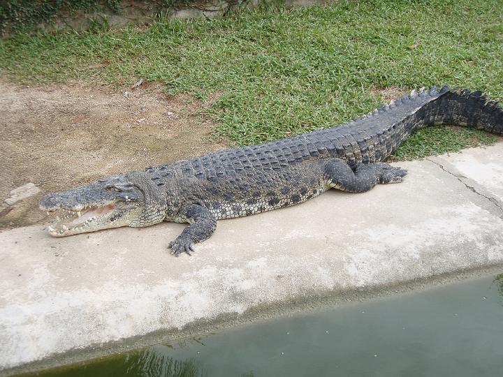 Anaconda hp 070.jpg